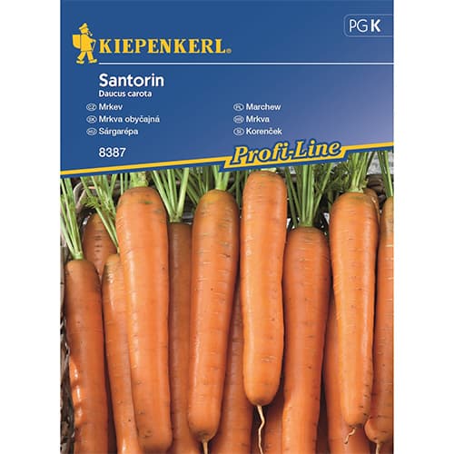 1 szt, Möhre Santorin F1 - Samen: Ilość w opakowaniu: 1 Stück