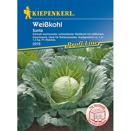 1 szt, Weißkohl Sunta F1 - Samen: Ilość w opakowaniu: 1 Stück