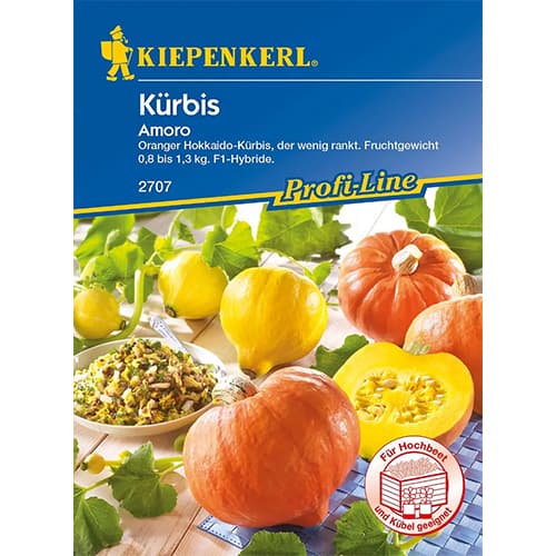 1 szt, Kürbis Amoro F1 - Samen: Ilość w opakowaniu: 1 Stück