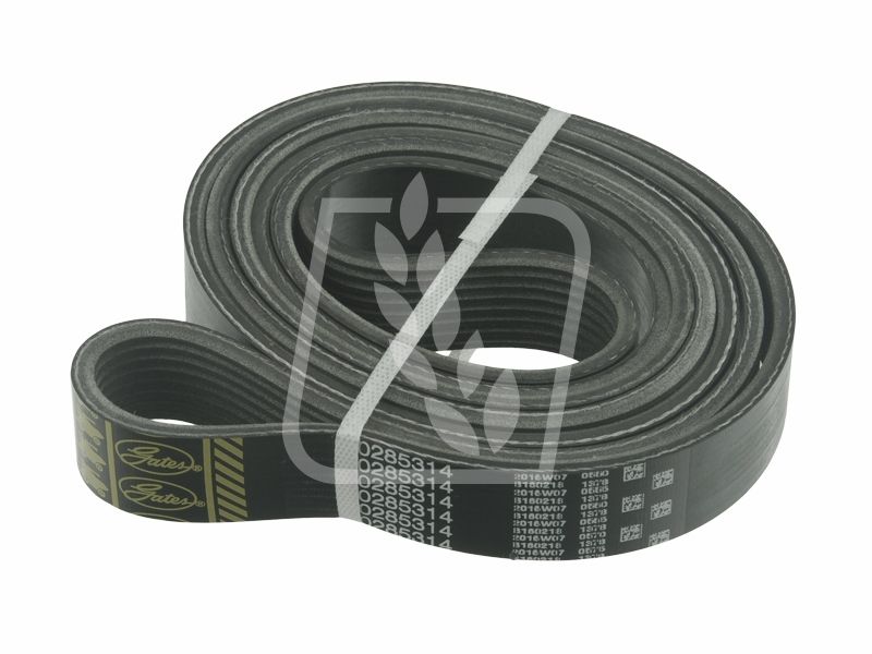 Pas wielorowkowy 796998 8K x 2060