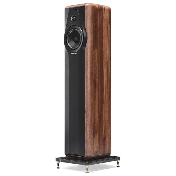 Kolumna sonus faber maxima amator