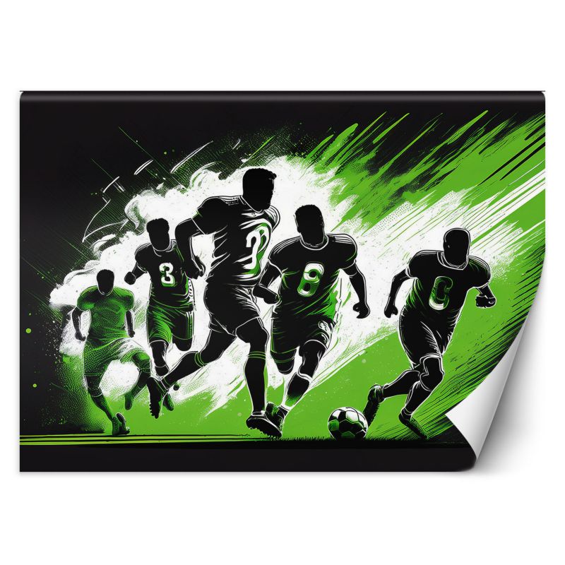 Fototapeta Feeby Mecz piłkarski 400x280 1 szt