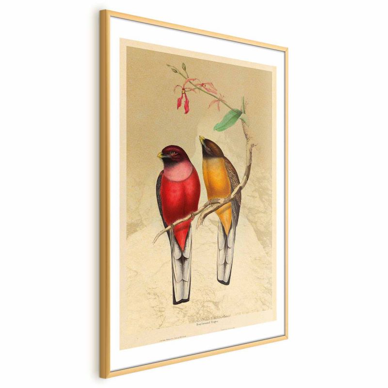 Plakat Artgeist Ptaki na gałązce 40x60 cm z ramą złotą 1 szt