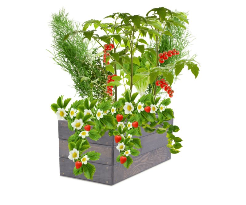 Skrzynia na warzywa MODO24 grządka szara impregnacja 27x83x30 cm 1 szt.