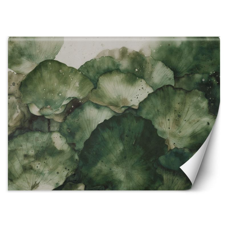 Fototapeta Feeby Zielone liście lotosu 350x245 1 szt