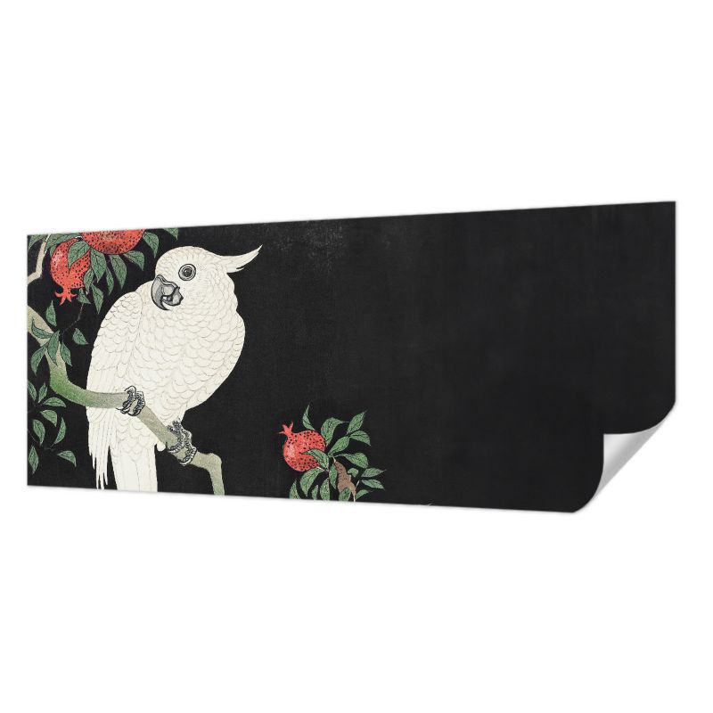 Fototapeta samoprzylepna Tulup 250x104 cm Papuga granaty Tapeta Do Salonu, Sypialni, Biura 1 szt.