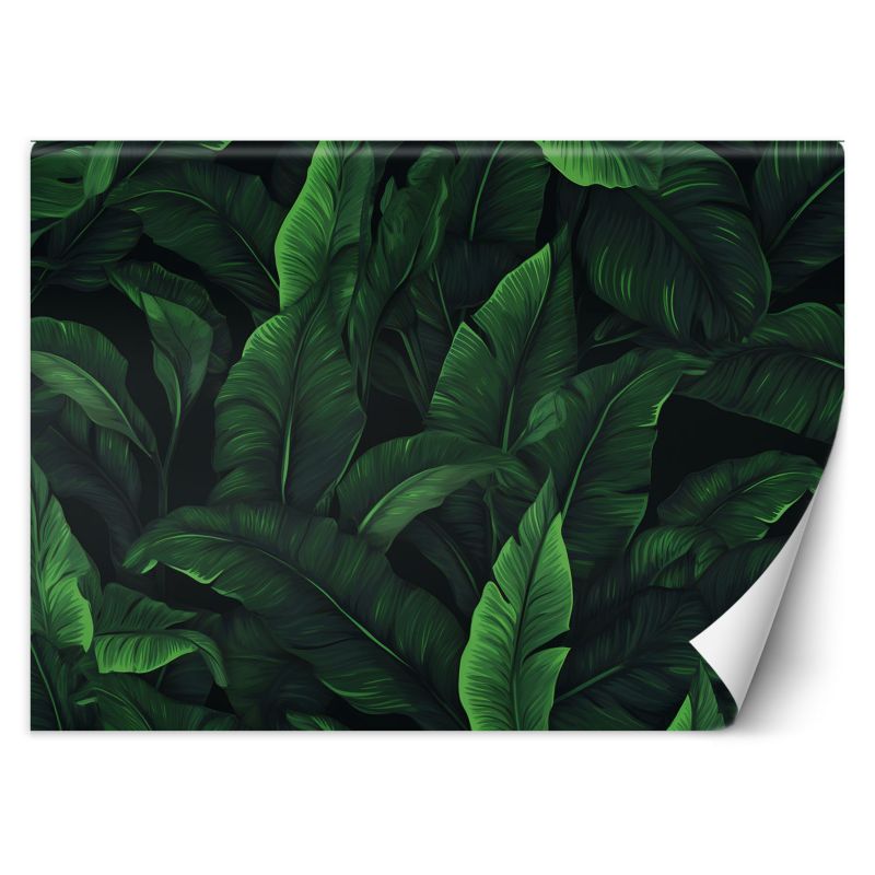 Fototapeta Feeby Egzotyczne liście w monochromatycznej zieleni 100x70 1 szt