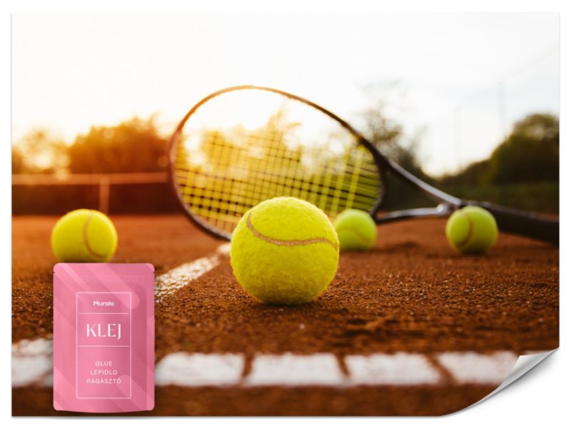 Fototapeta Muralo Rakieta Tenisowa na Boisku 350x256 cm 1szt.