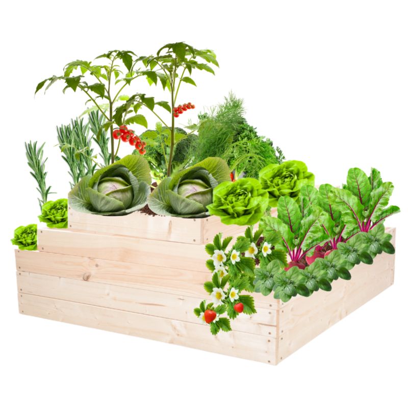 Skrzynia warzywna MODO24 regulowana inspekt 45x117x120 cm przezroczyste impregnowane drewno 1 szt