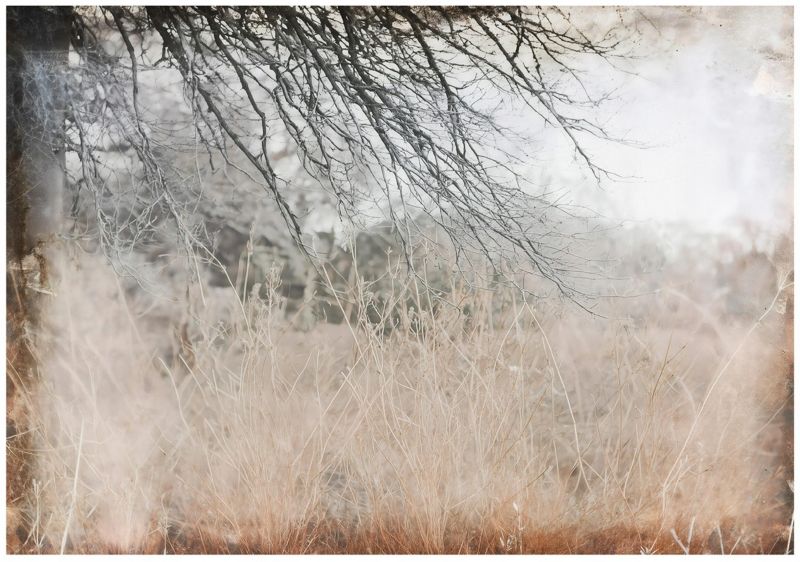 Fototapeta WALLARENA Do Sypialni Salonu Na Flizelinie Łąka Abstrakcja Vintage 400x280 cm 1 szt.