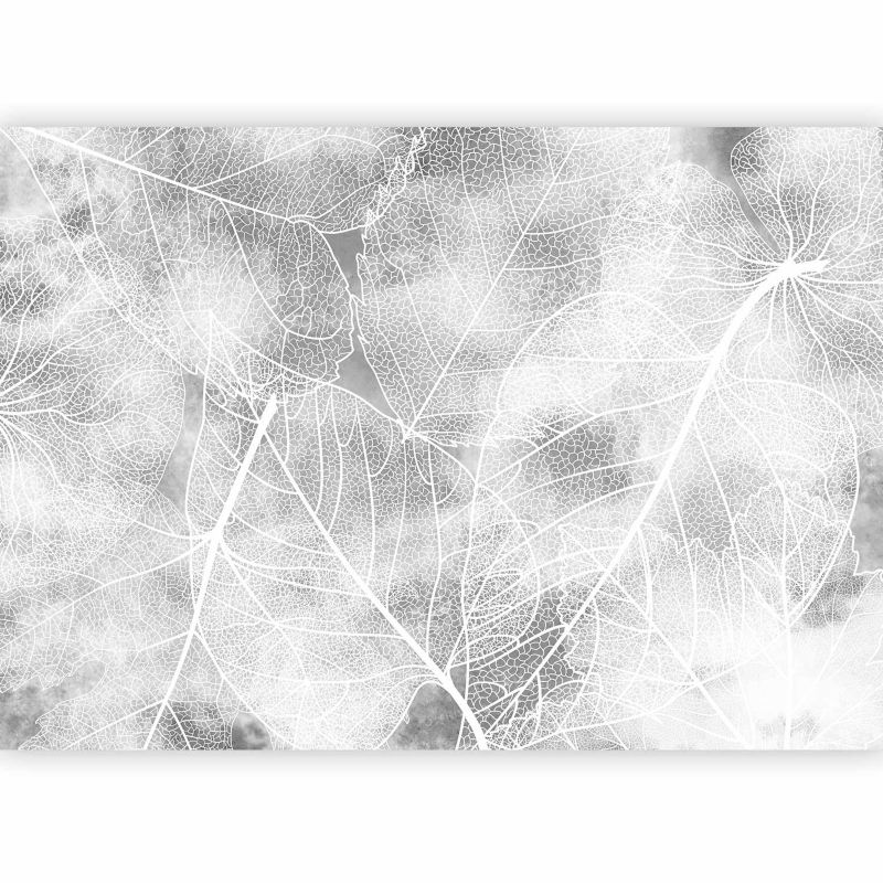 Fototapeta flizelinowa Artgeist 110g/m2 Liście czarna 150x105 (3 części) 10043ac rolka 1 szt