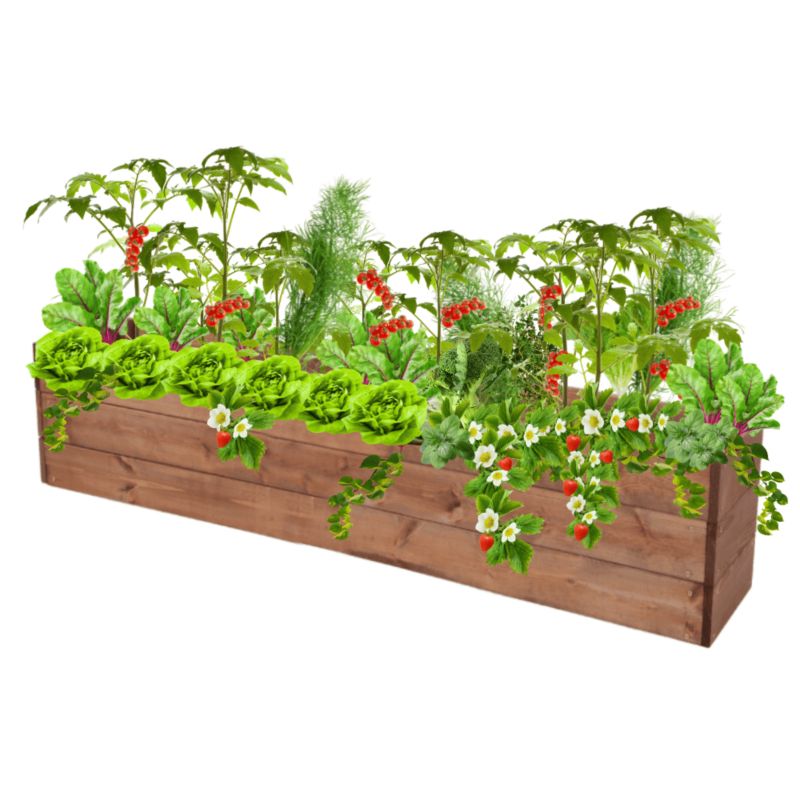 Grządka podwyższona MODO24 skrzynia na warzywa brązowa impregnacja 27x120x30 cm 1 szt.