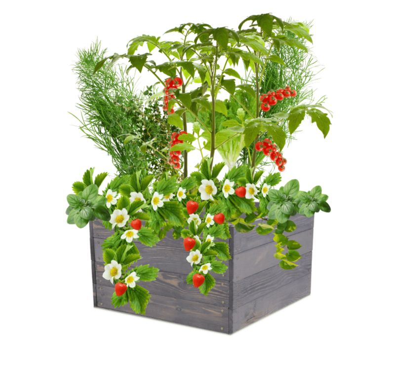 Warzywnik MODO24 grządka szara impregnacja 36x103x60 cm 1 szt.