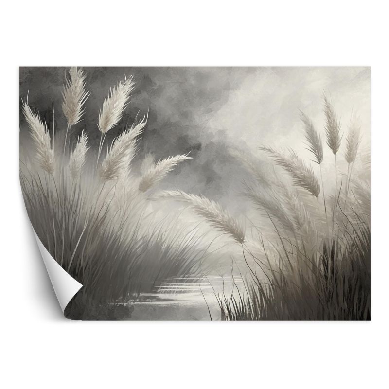 Fototapeta Feeby Trawa trzcinowa Przyroda Botanika 450x315 1 szt