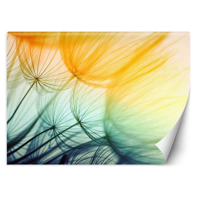 Fototapeta Feeby Kolorowe dmuchawce 200x140 1 szt