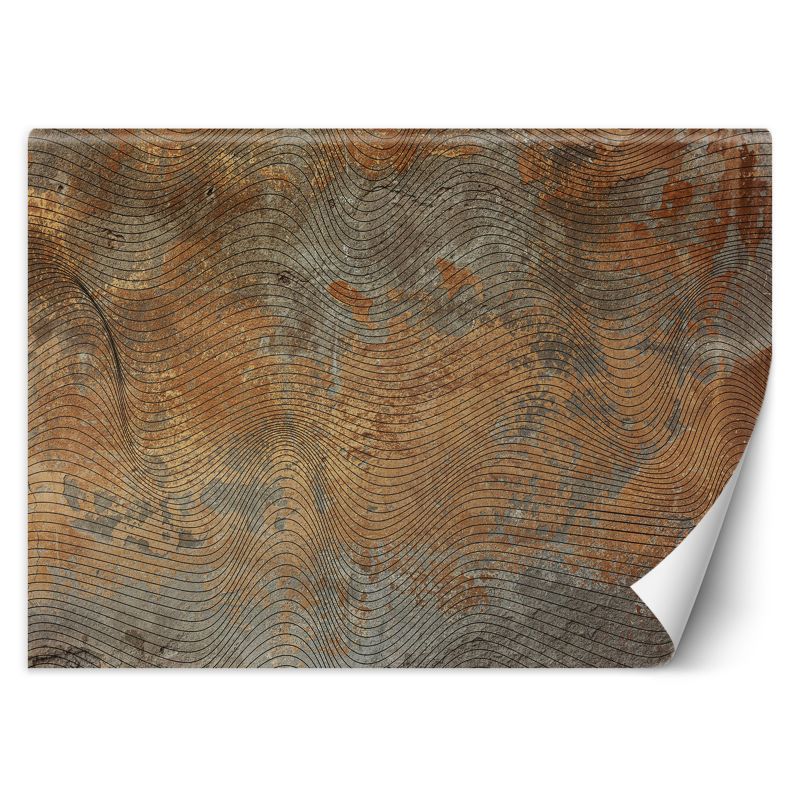 Fototapeta Feeby Złoty Szary Kształty Linie 350x245 1 szt