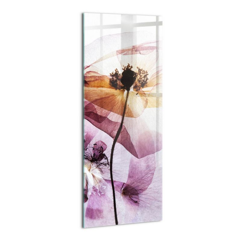 Foto Obraz Ścienny Szklany Wallfluent 50x125 cm Suche kwiaty maki 1 szt.