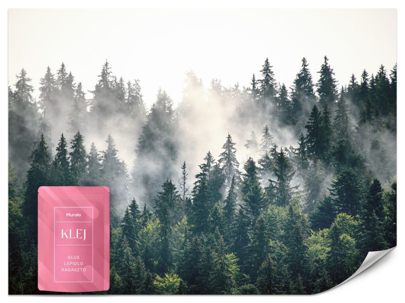 Fototapeta Muralo Las Górski Mgła Natura Drzewo 500x350 cm 1szt.