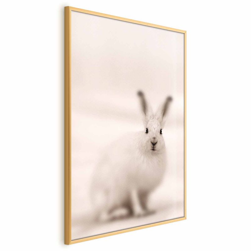 Plakat Artgeist Strachliwe spojrzenie 60x90 cm z ramą złotą 1 szt