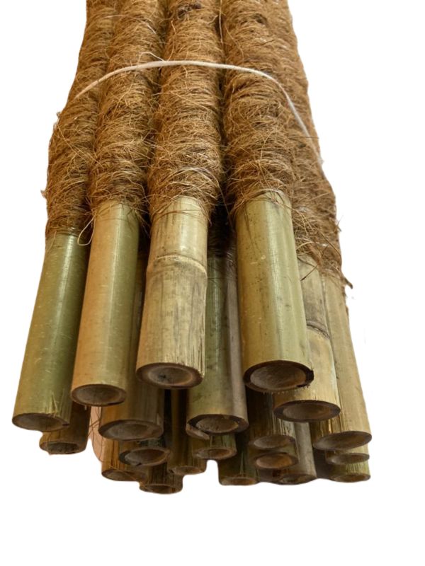 Palik kokosowy 60cm x 25mm BMBS 10 szt.