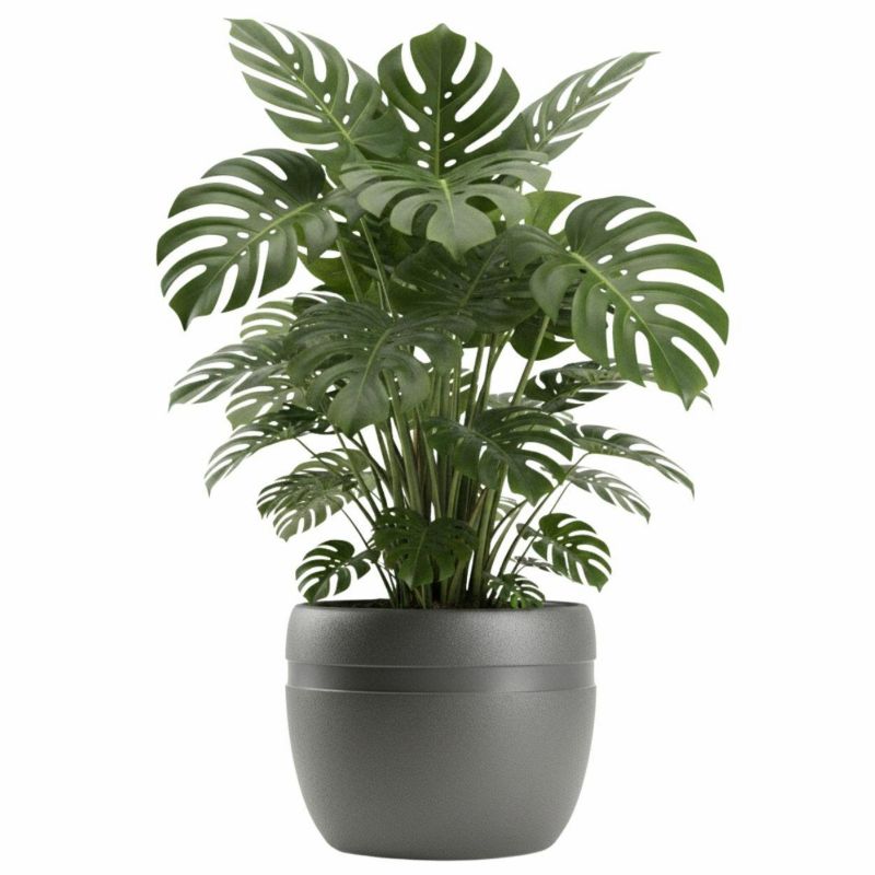 Doniczka ogrodowa LUNA CLASSIC HowHomely antracyt plastikowa 45,6xh37,8 cm 1 szt.