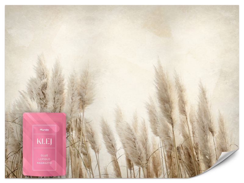 Fototapeta Muralo Trawy Kłosy Zboże 400x280 cm 1szt.