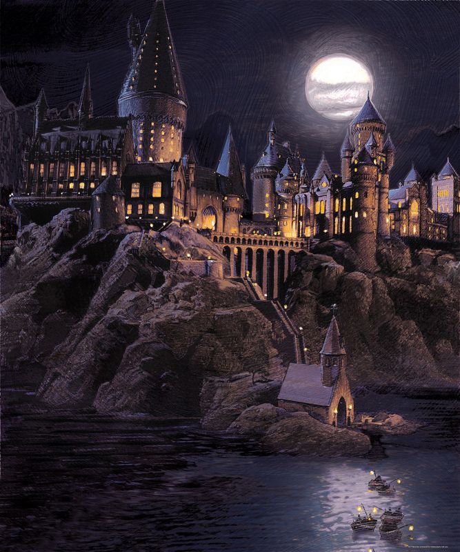 fototapeta Sanders & Sanders Harry Potter Hogwart ciemnoszarymIciemnoniebieskim 270 x 225 cm - 1 rol.