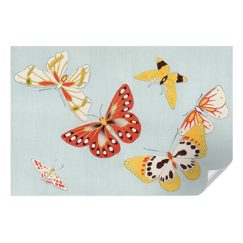 Fototapeta samoprzylepna Wallfluent 104x70 cm Motyle artystyczne Dla Miłośników Przyrody I Entomologii 1 szt.