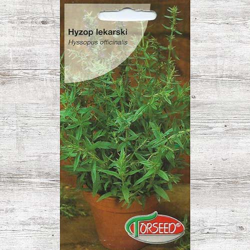 1 szt, Hyzop lekarski - Nasiona: Ilość w opakowaniu: 0.2 g