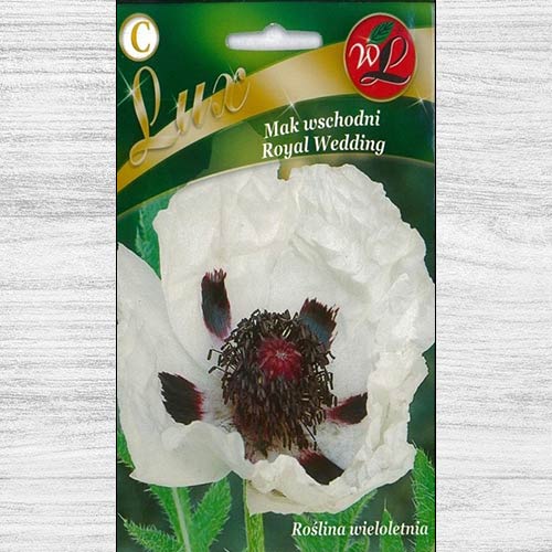 1 szt, Mak wschodni Royal Wedding - Nasiona: Ilość w opakowaniu: 0.2 g