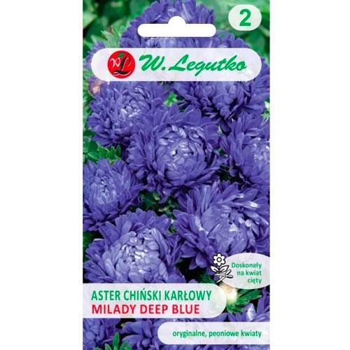 1 szt, Aster karłowy Milady Deep Blue - Nasiona: Ilość w opakowaniu: 1 g