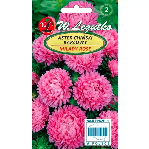 1 szt, Aster karłowy Milady Rose - Nasiona: Ilość w opakowaniu: 1 g