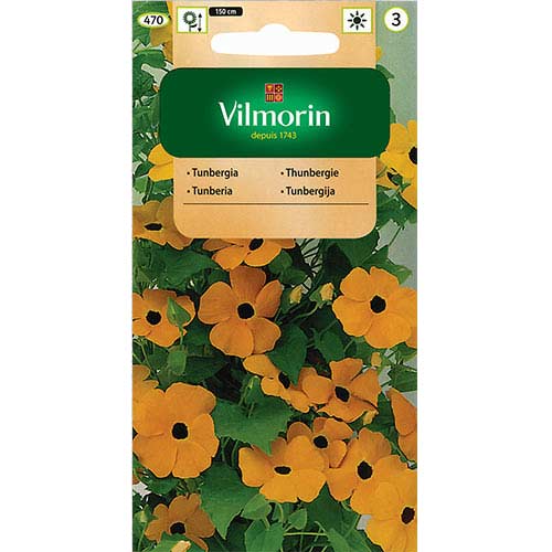 1 szt, Tunbergia oskrzydlona, mieszanka Vilmorin - Nasiona: Ilość w opakowaniu: 0.5 g