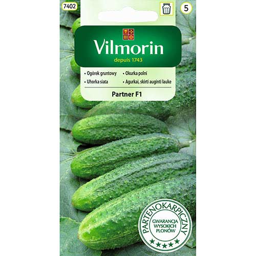 1 szt, Ogórek gruntowy Partner F1 Vilmorin - Nasiona: Ilość w opakowaniu: 3 g