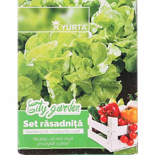 1 szt, Zestaw nasion Sałaty głowiastej - Nasiona: Ilość w opakowaniu: 1 opak