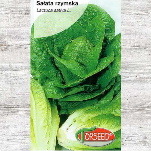 1 szt, Sałata rzymska Liwia - Nasiona: Ilość w opakowaniu: 0.5 g