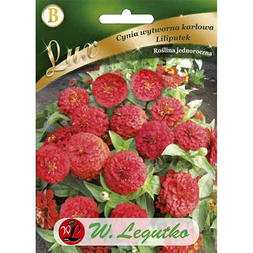 1 szt, Cynia Liliputek czerwona - Nasiona: Ilość w opakowaniu: 0.5 g