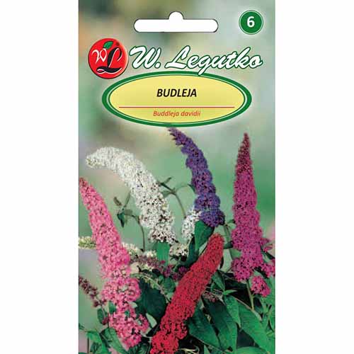 1 szt, Budleja, mieszanka Legutko - Nasiona: Ilość w opakowaniu: 0.01 g