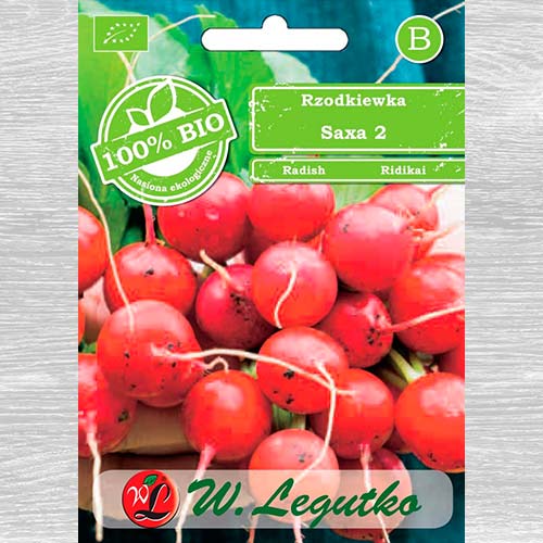 1 szt, Rzodkiewka Saxa 2 - Nasiona: Ilość w opakowaniu: 300 szt