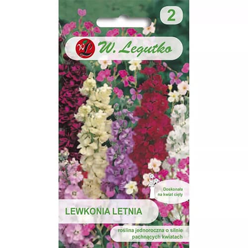 1 szt, Lewkonia, mix kolorow - Nasiona: Ilość w opakowaniu: 0.5 g