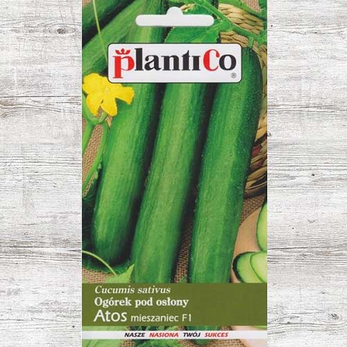 1 szt, Ogórek Atos F1 - Nasiona: Ilość w opakowaniu: 1 g