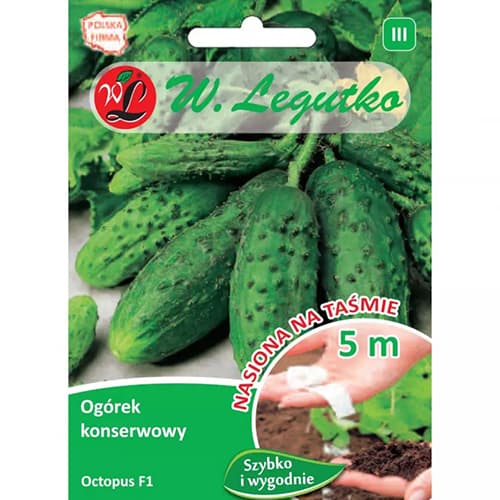 1 szt, Ogórek gruntowy konserwowy Octopus F1 - Nasiona: Ilość w opakowaniu: 2 g