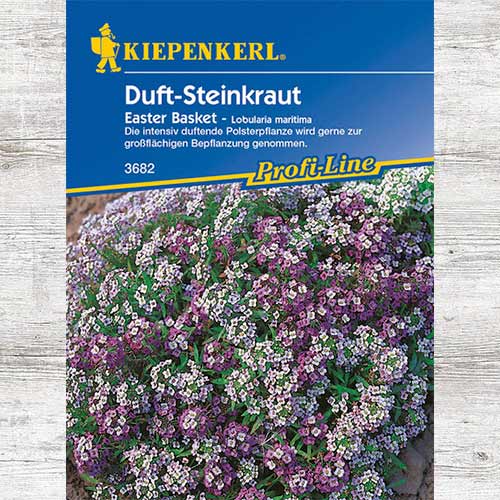 1 szt, Smagliczka nadmorska Easter Bonnet - Nasiona: Ilość w opakowaniu: 1 opak