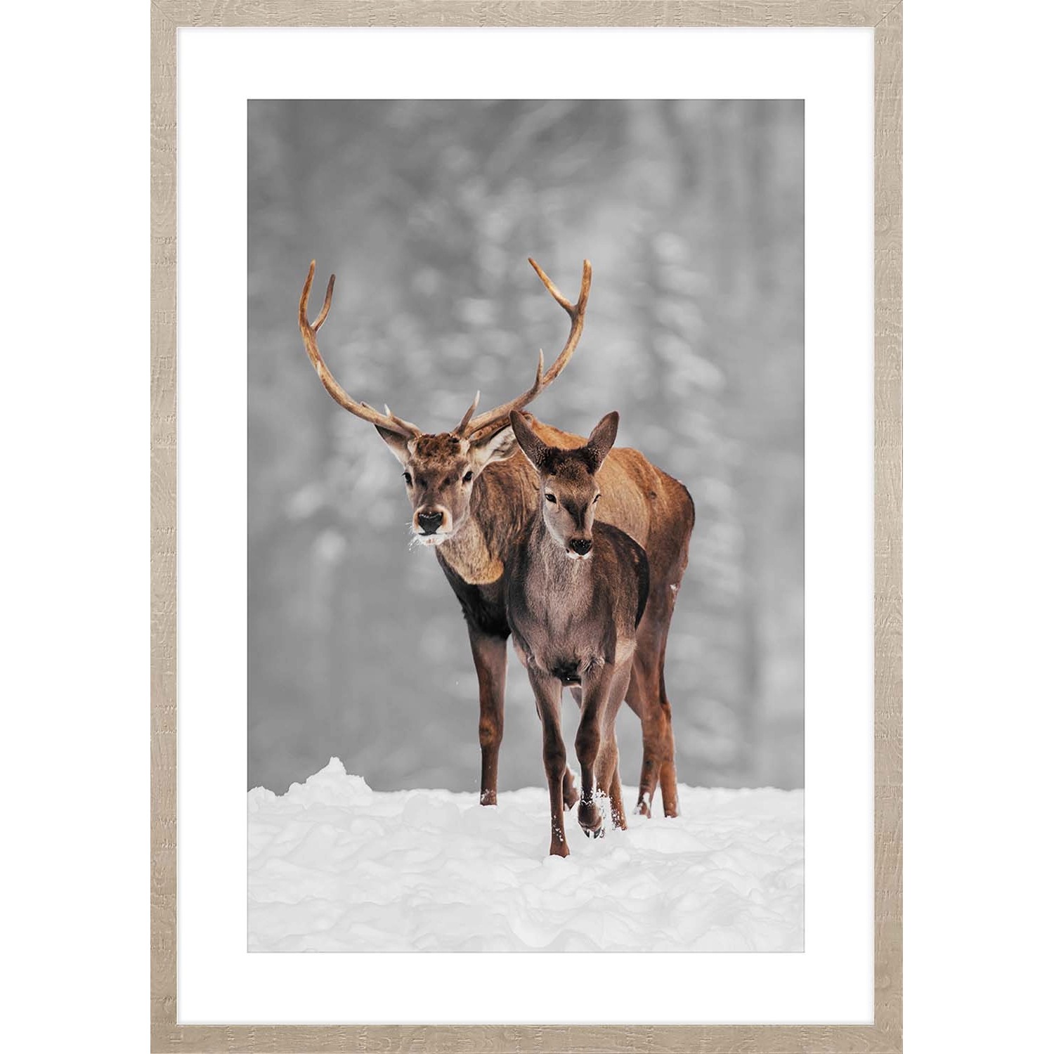 ARS LONGA Obraz DEER WALK 53 x 73 cm