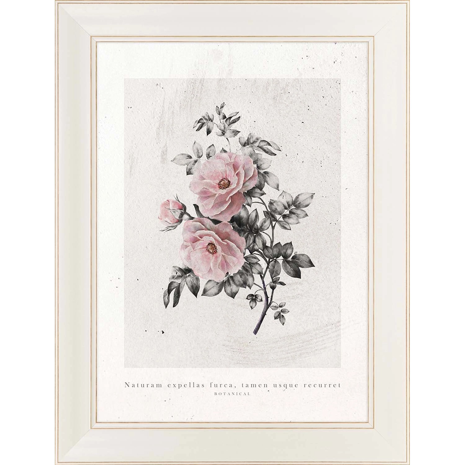 ARS LONGA Obraz AGED ROSES ART no.1 63 x 83 cm