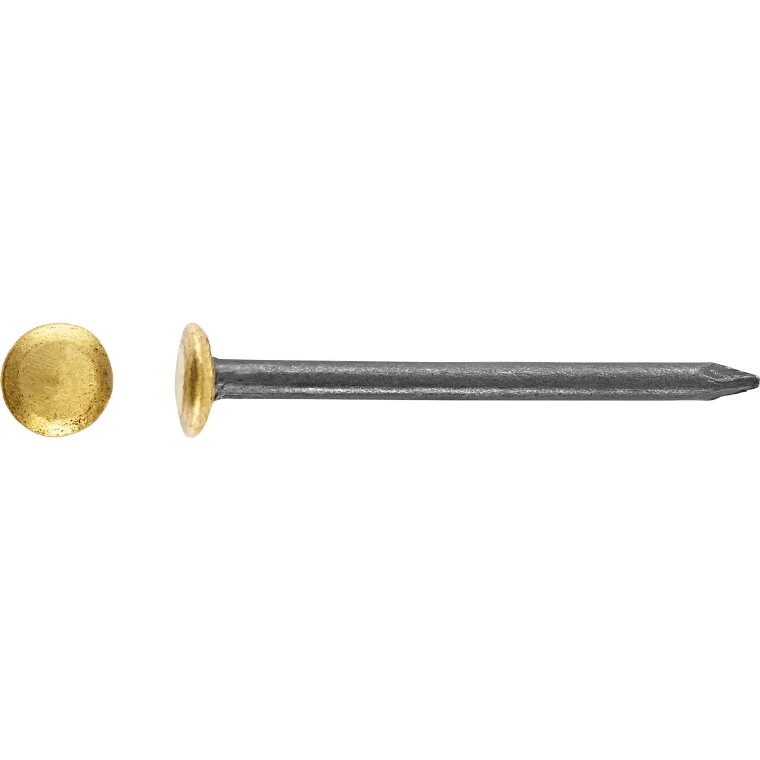 LUX-TOOLS Gwóźdź stalowy z podniesioną główką pokrytą mosiądzem Ø 2 mm x 30 mm m