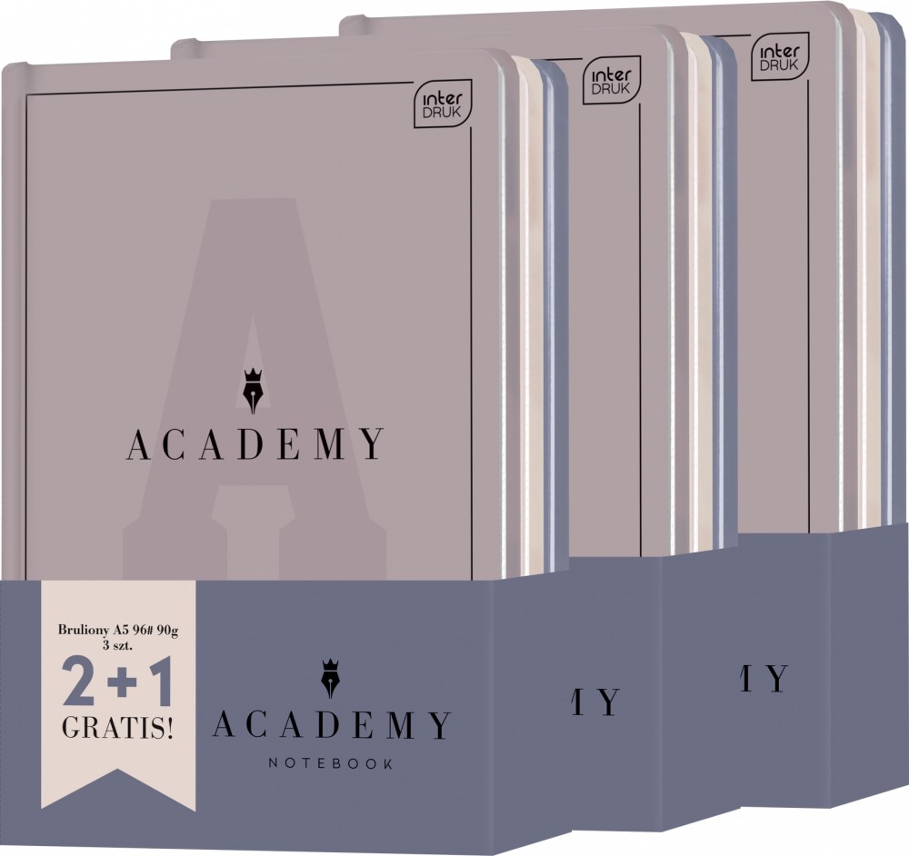 3x Brulion Interdruk Academy, w kratkę, A5, 96 kartek, 3 sztuki, mix kolorów