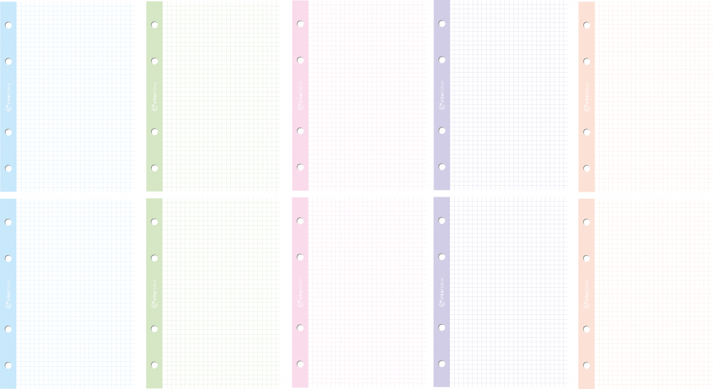 20x Wkład do segregatora w kolorową kratkę Interdruk, A4, 50 kartek, kolorowy margines