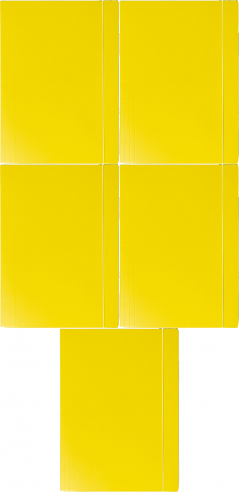 5x Teczka kartonowa z gumką Barbara, lakierowana, A4, 400g, żółty