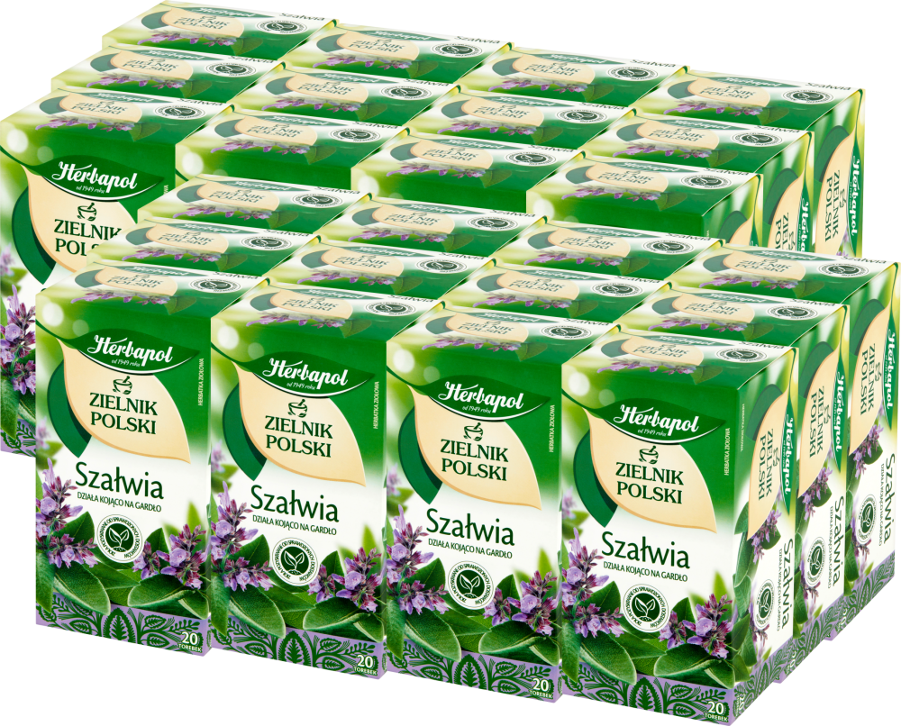 24x Herbata ziołowa w torebkach Herbapol, Zielnik Polski, szałwia, 20 sztuk x 1.2g